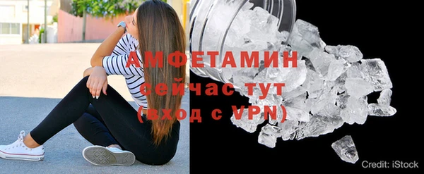 индика Богородск