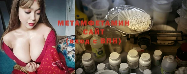 индика Богородск