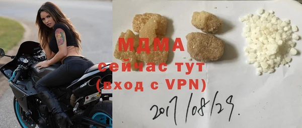 индика Богородск
